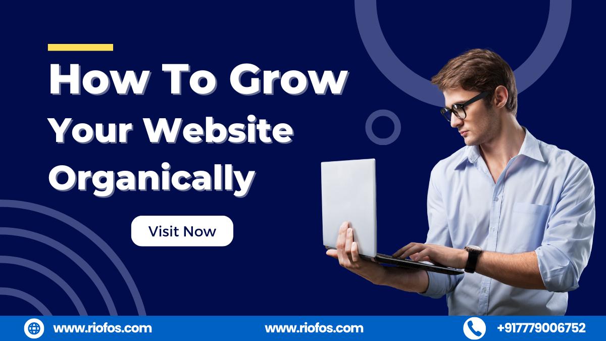 How To Grow Your Website Organically